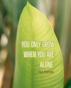 You only grow when you’re alone
